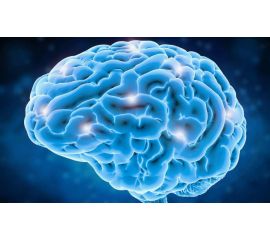 ПРОГРАММНОЕ ОБЕСПЕЧЕНИЕ