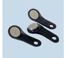 ИДЕНТИФИКАТОРЫ